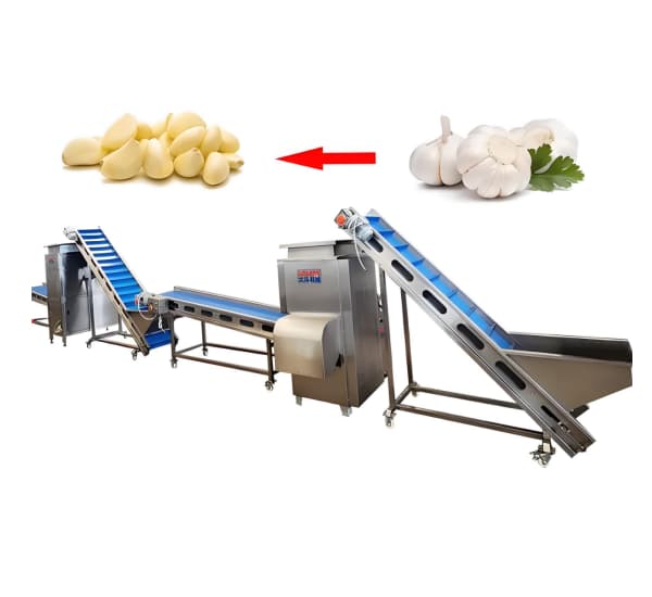 garlic peeling machine.