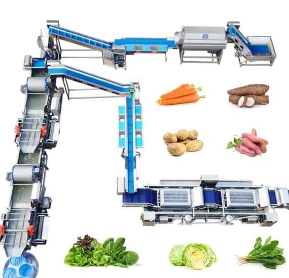 Produttori di macchinari di trasformazione di frutta e verdura