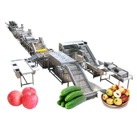 Fruit and Vegetable Processing Machinery