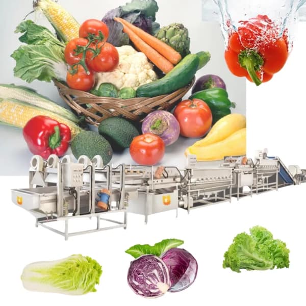 Guide to Fruit and Vegetable Processing