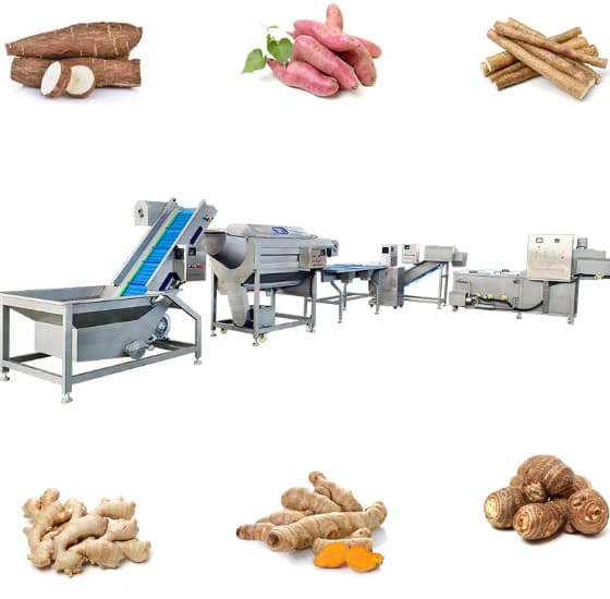 I migliori produttori di macchinari per la trasformazione di frutta e verdura