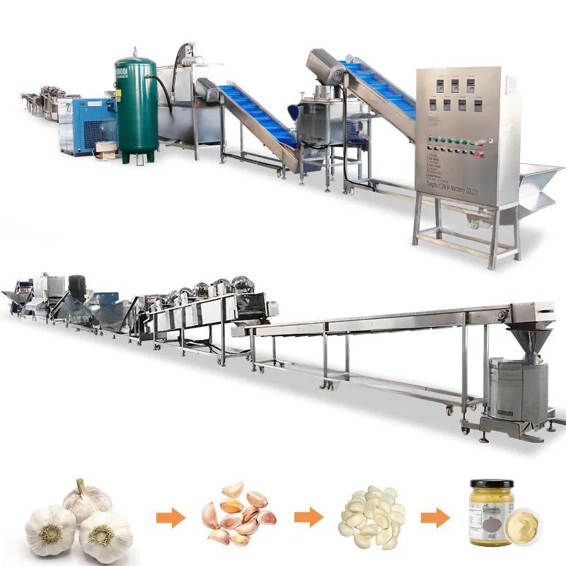 automatic ginger garlic paste making machine