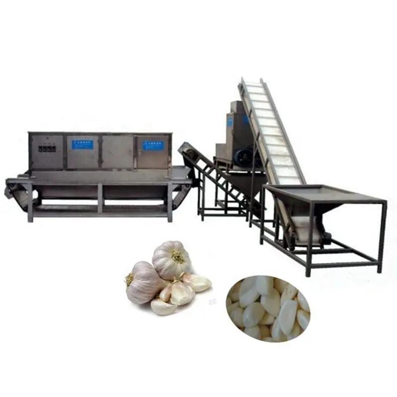 garlic paste making machine