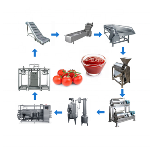 tomato processing machine