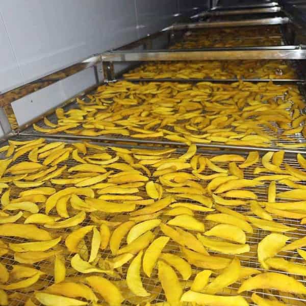 Mango Cutting Machine