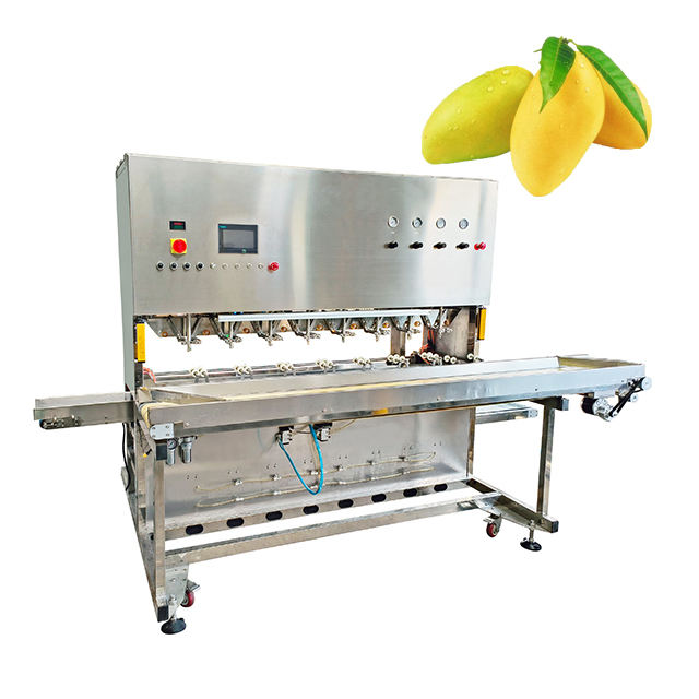 Mango Peeling and Cutting Machine