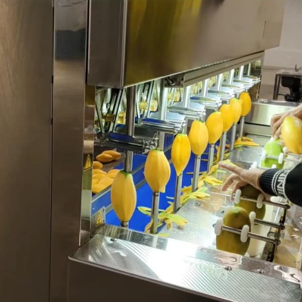 Mango Peeling and Cutting Machine