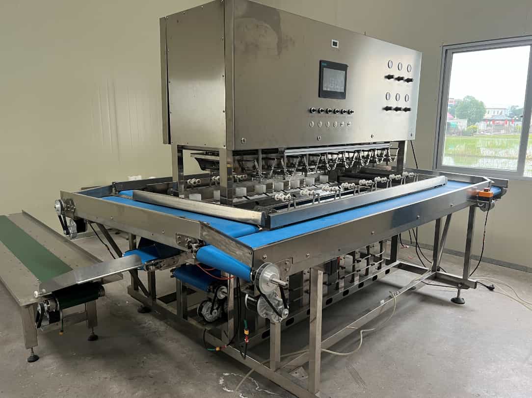 Mango peeling machine