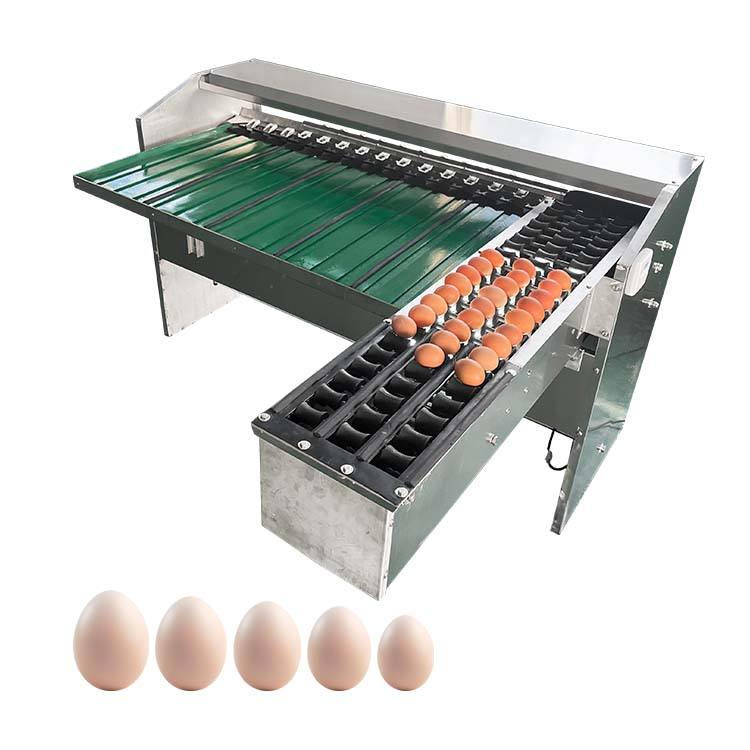 What is egg grading machine？ Every thing you need to know