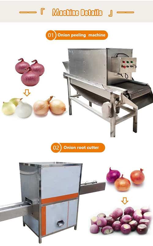 onion cutting and peeling machine -onion production machine